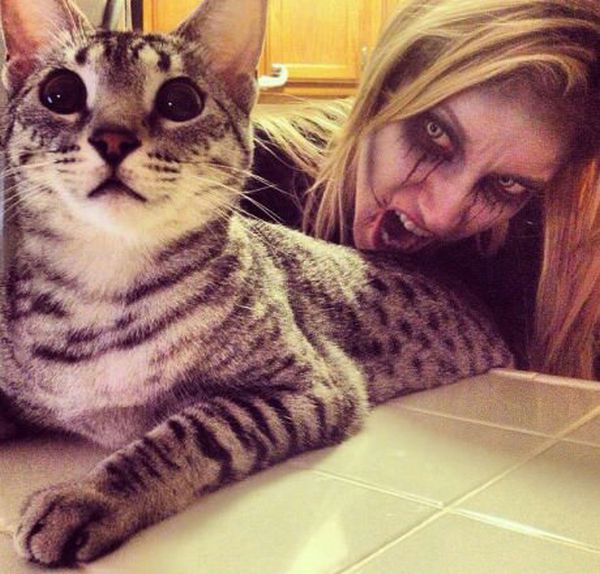 ����� �����, ��� ��� �� ��������