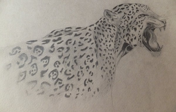 ,  ,            .     .