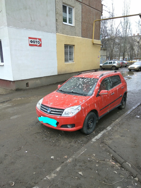 Удачно припарковался))) - Моё, Машина, Птицы, Авто