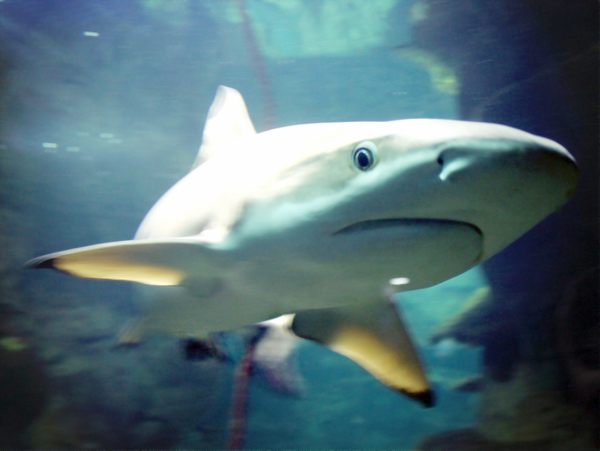 Что же с нами стало?