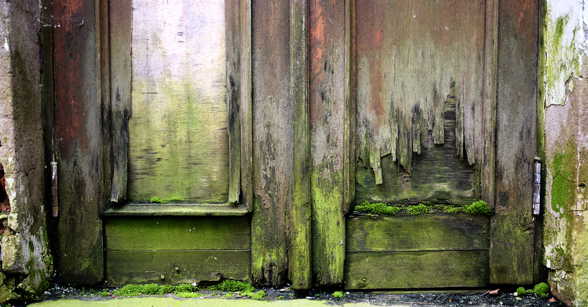 Doors mine. дверь в шахту. дверь открывается. Doors mine. Knock on my door.