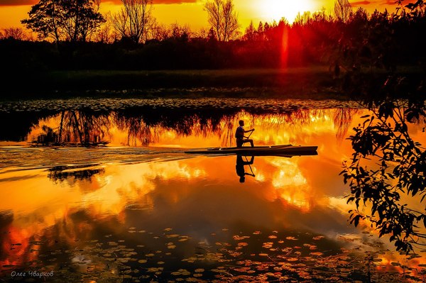 Floats like gold... - Golden, River, Nature, Republic of Belarus, Gomel