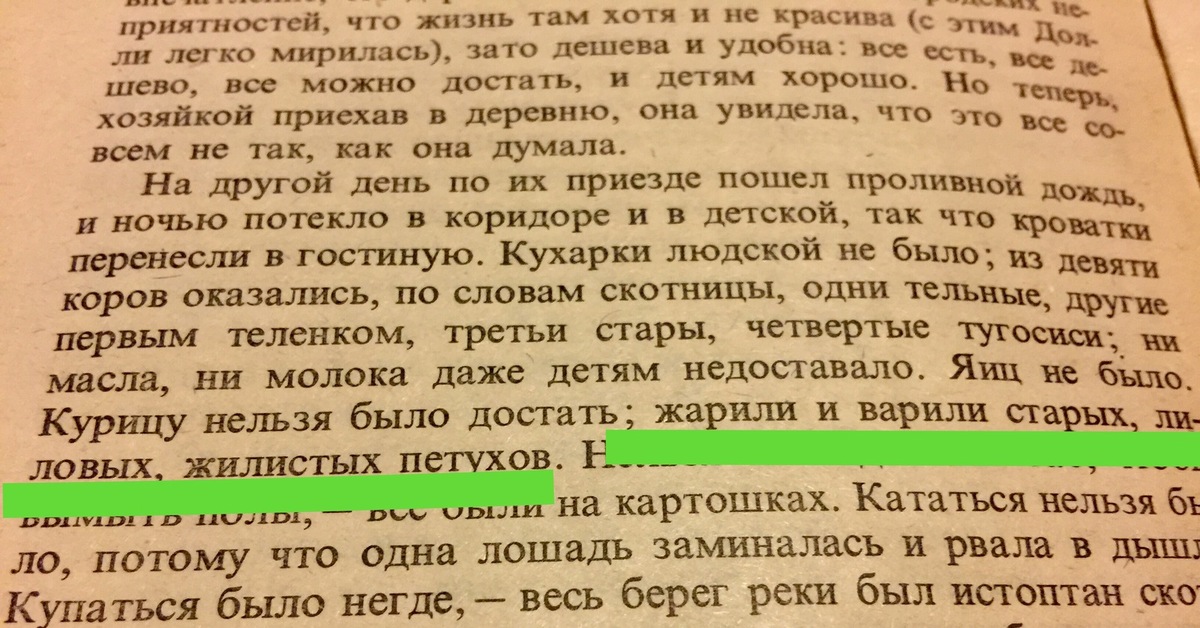 По приезду гостей начался проливной дождь и ночью потекло в коридоре егэ