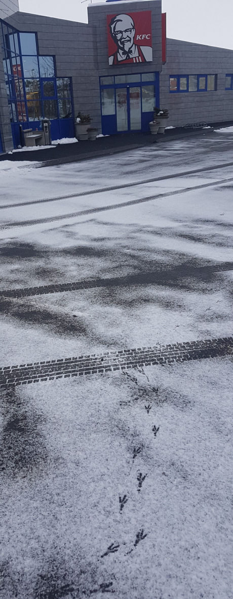  kfc ...