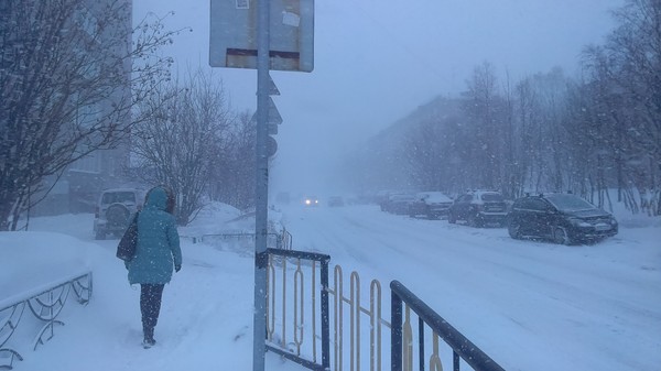 And spring is in full swing - Murmansk, Spring
