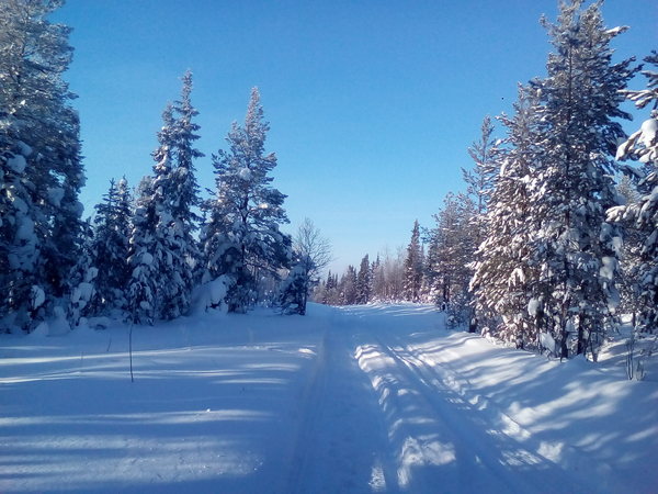 Winter Beauty 2 February 21, 2017 - My, Singing, The road of life