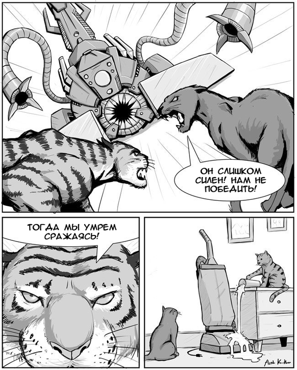 Unequal fight :) - Comics, , cat, Humor