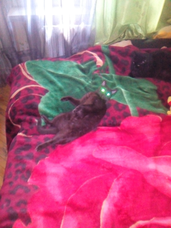 Я сейчас подойду и съем твою душу-)