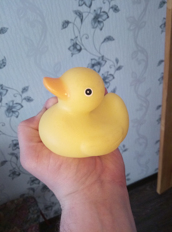 duck? - NSFW, My, What's this?, Suddenly, Toys, Longpost