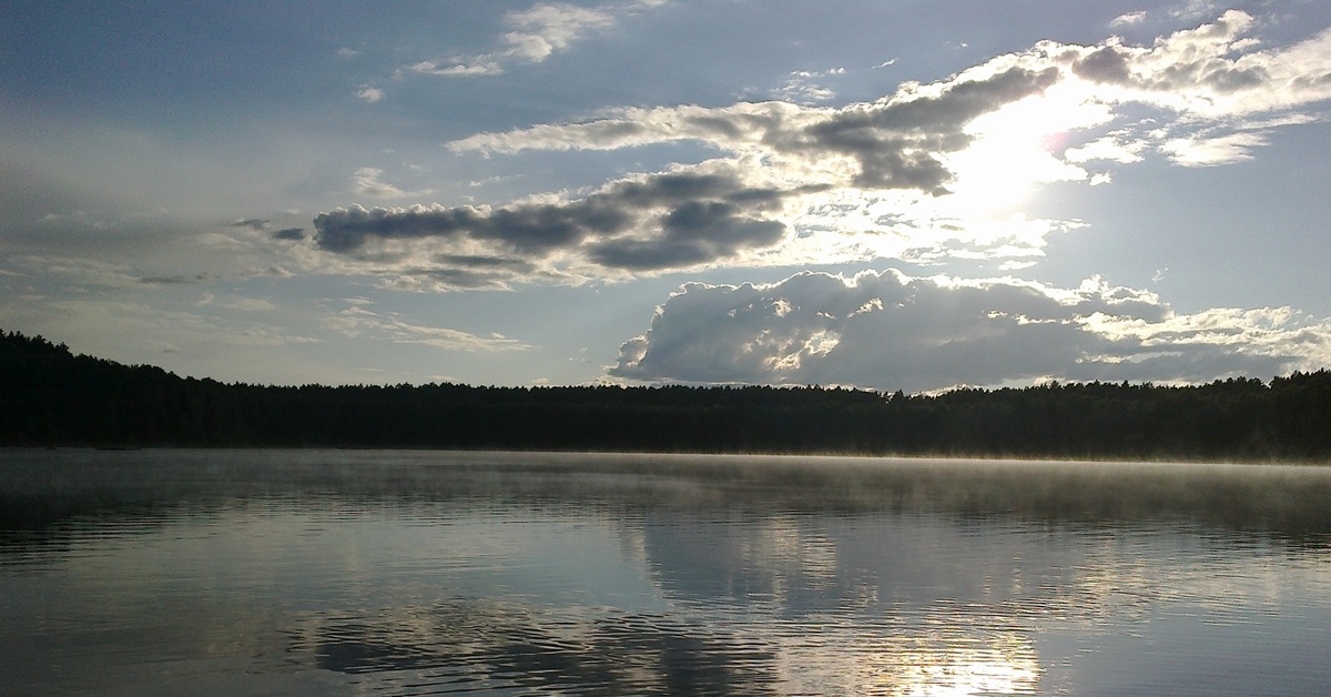 Леневые. Леневые. Озеро линево муромцевский. Муромцево 5 озер. Линёво озеро омская область.