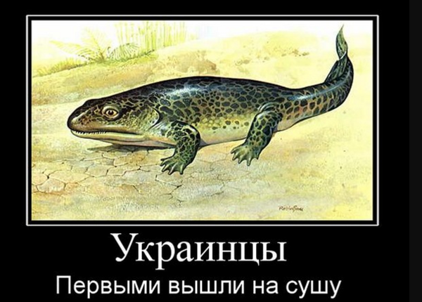 �� � �� ����� . ��� ������ �� ���� �����