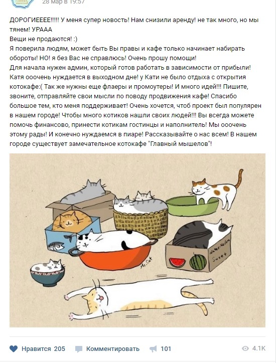 The history of the cat cafe in the bowels of Eastern Siberia - Cat cafe, cat, Startup, Overcoming, Longpost