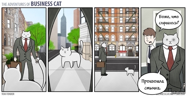 businessman cat - Business cat, Comics, Longpost, cat