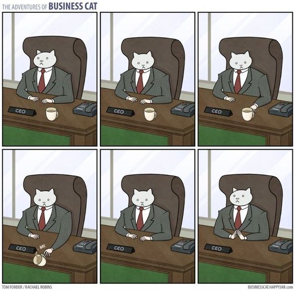 businessman cat - Comics, Business cat, cat, Longpost