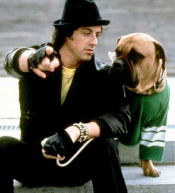 Sylvester Stallone with friend - Sylvester Stallone, Dog, Friend, Longpost