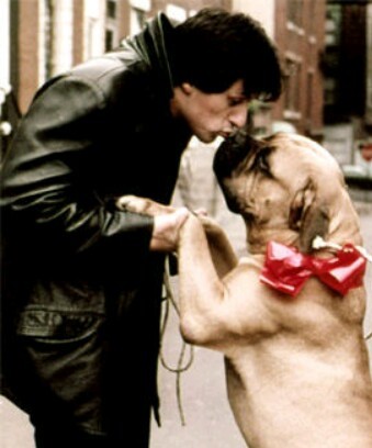 Sylvester Stallone with friend - Sylvester Stallone, Dog, Friend, Longpost