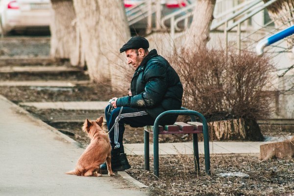 Друзья... - Моё, Фотография, Собака, Человек, Canon, Уральск, Казахстан