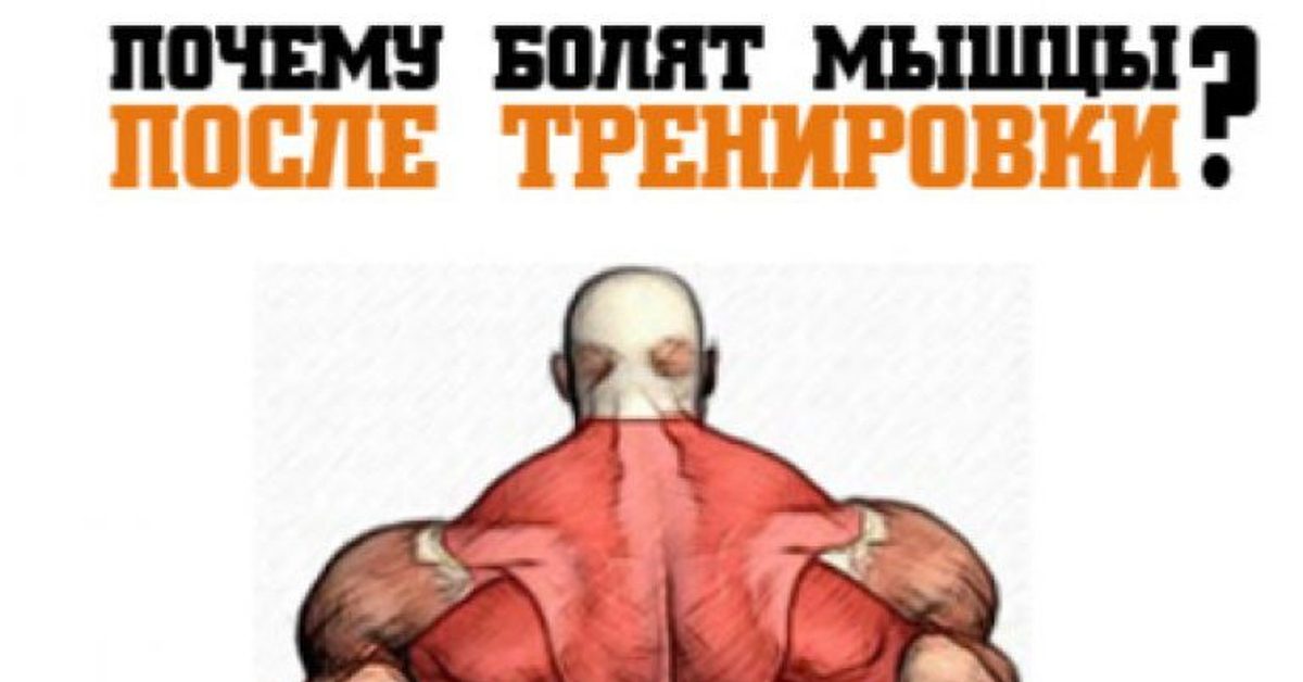 Боли в мышцах после тренировки почему