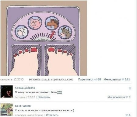 Новая модель весов