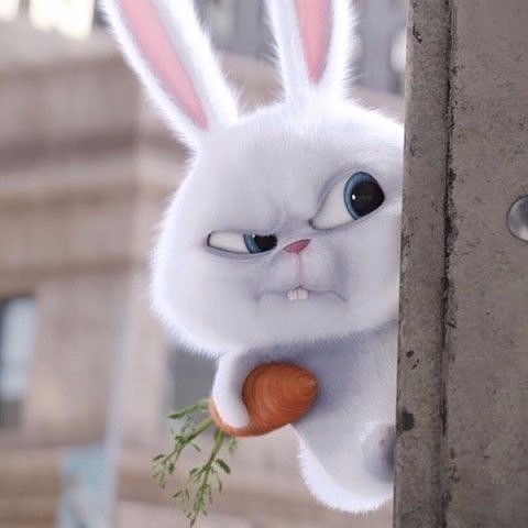 Zaic - My, Hare, Animation, Carrot, Cartoons