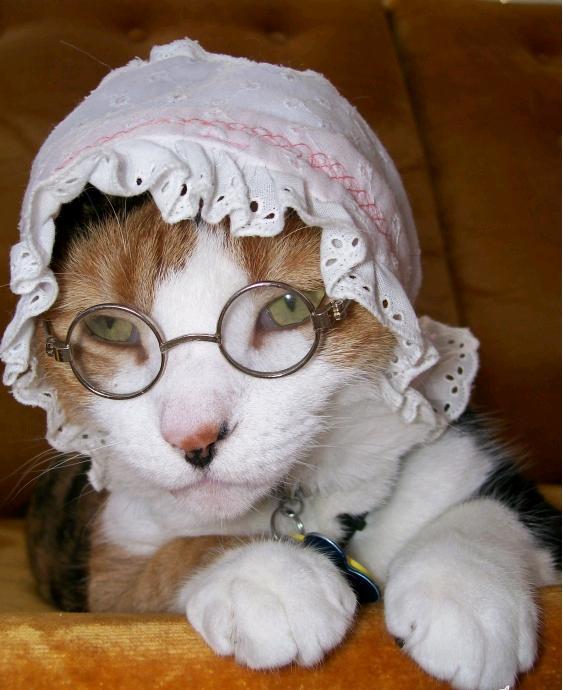 ... ����, ������ � � ���� ������!