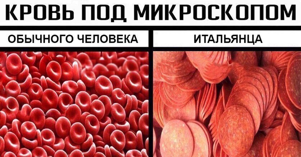 Pretty blood. Мемы про итальянцев. Мемы про итальянцев и макароны. Кровь под микроскопом прикол.