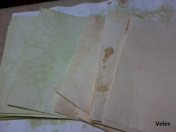 Herbarium page design - My, Scrapbooking, Notebook, Diary, Binding, Longpost