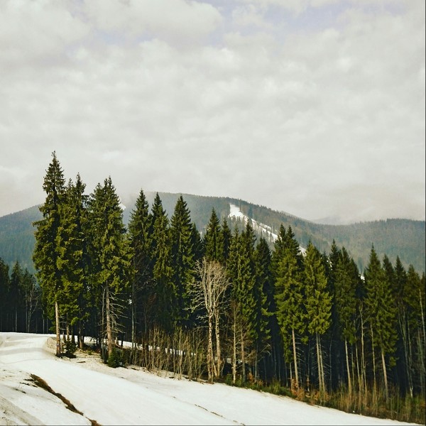 Bukovel 2017 - My, Nature, Bukovel, 2017, Longpost