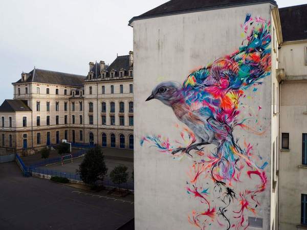 beauty - Birds, Longpost, , Street art