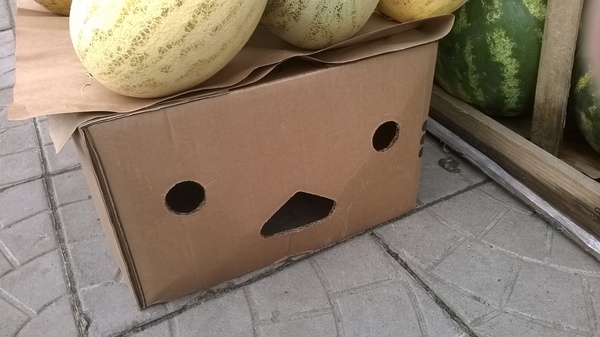 It seemed funny. - My, Box, Humor