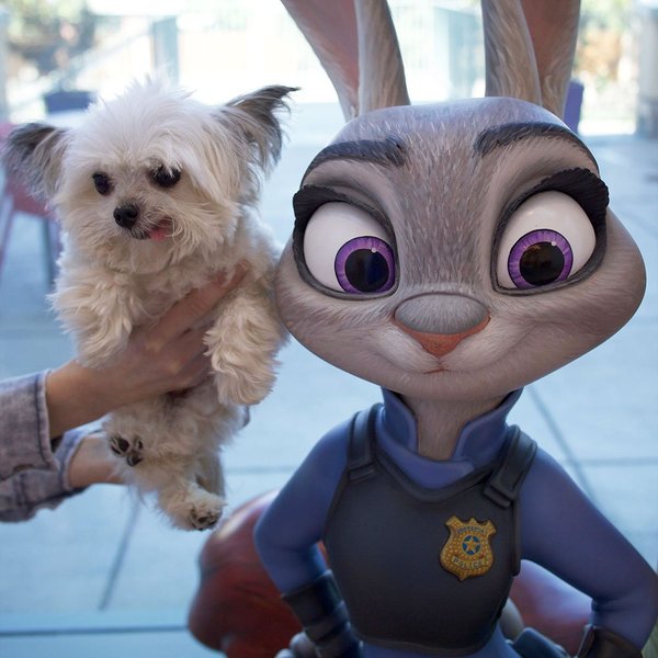  , Zootopia, 