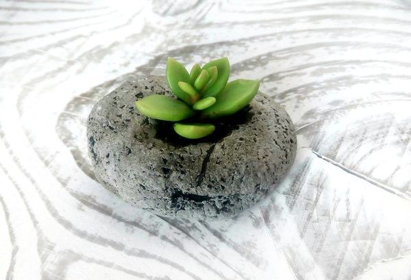 Mini composition - My, Succulents, Miniature, Plants, Polymer clay, A rock, Handmade, Cold porcelain, Needlework, Longpost