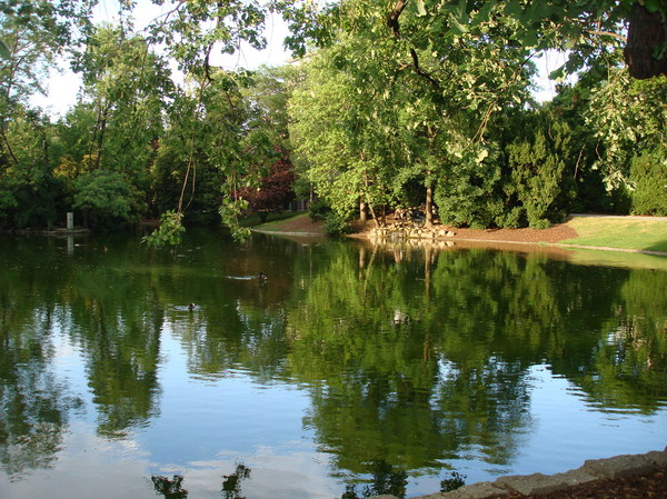 The soul of the parks. - Pond, Nature, Water, Soul, Relaxation, beauty, Greenery, The park