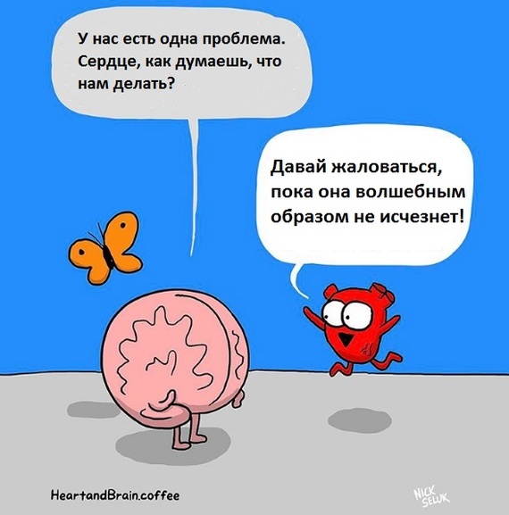 One-stop solution - Awkward yeti, Comics, Reason and feelings, Problem, Not mine