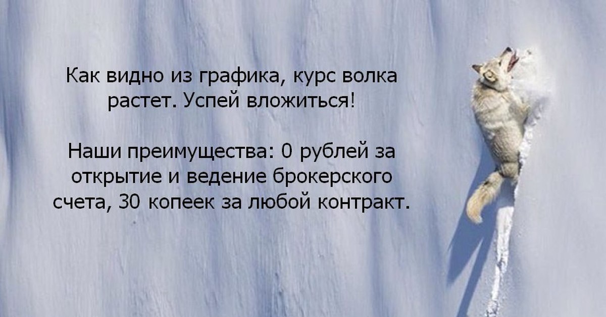 Успел вырасти