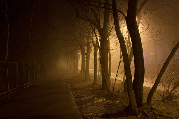 Yesterday's fog in Moscow - My, The photo, Fog, Stadium, Night, Longpost