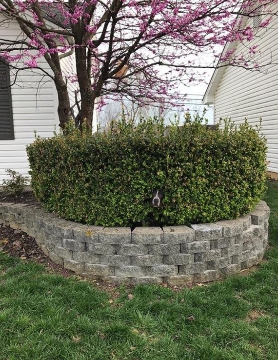 ����� �������.