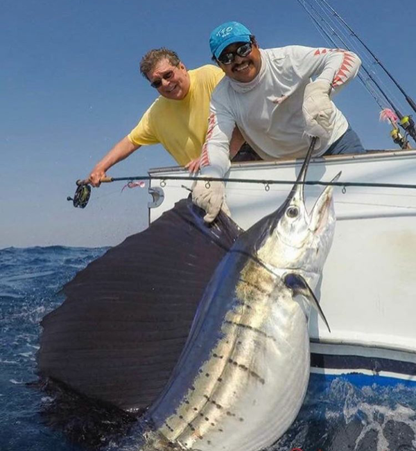 ������������� ������� ������