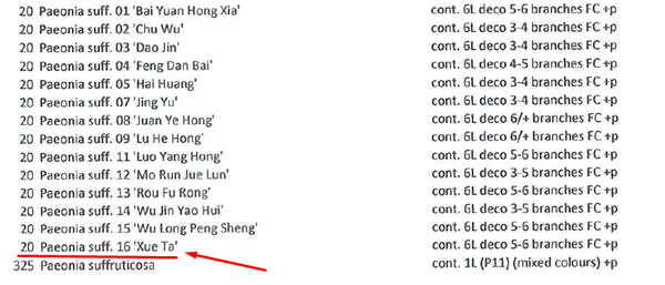 �������� ������