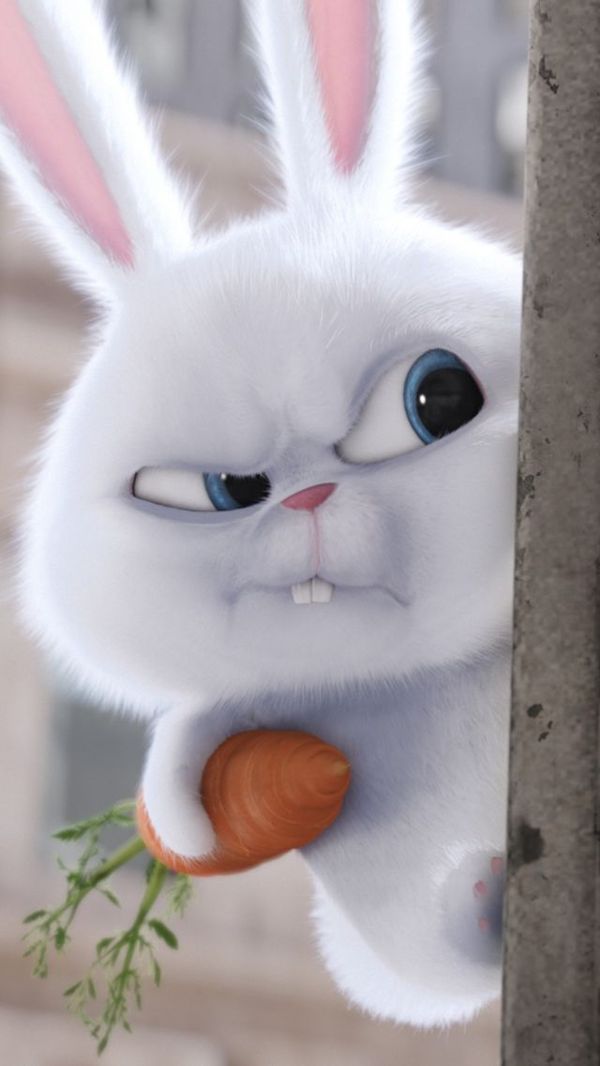 What do you want?......Say hello....Well hello.....Goodbye - The Secret Life of Pets, Rabbit, Cartoons