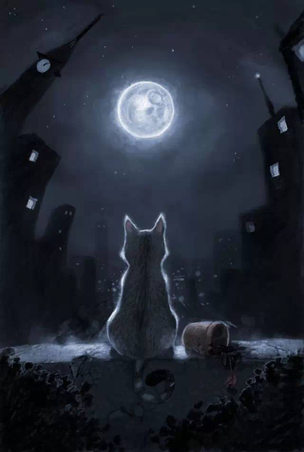 Under the moon - cat, moon, Full moon, Town, Night city, Houseplants, Drawing