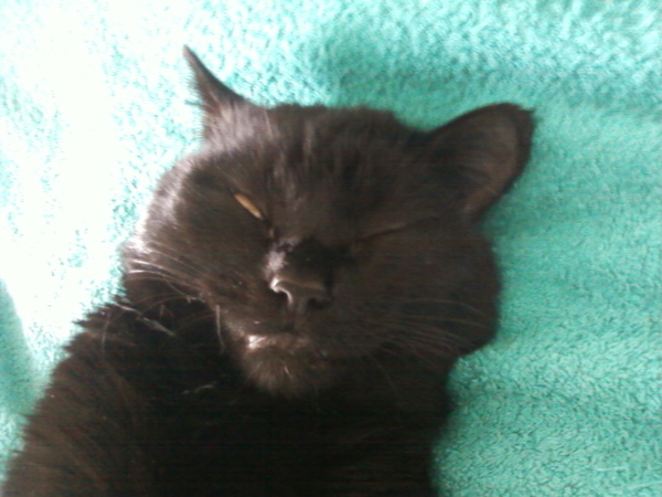 Ищу книгу, забыл название