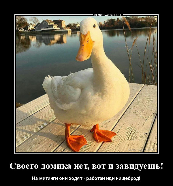 The answer is DAM to all liberals and oppositionists. - Dmitry Medvedev, Corruption, Duck, Duck house, Politics