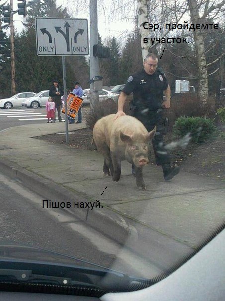 ظ� ������ ���� �������...