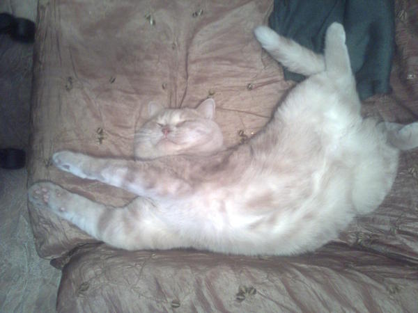 � ����� � ���.��