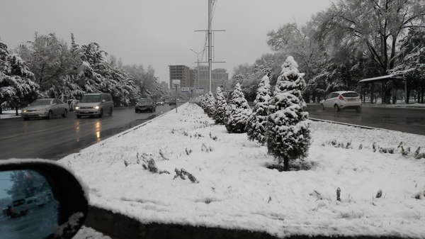 Spring is in full swing, Bishkek. - 2017, Spring, Snow, My, Bishkek