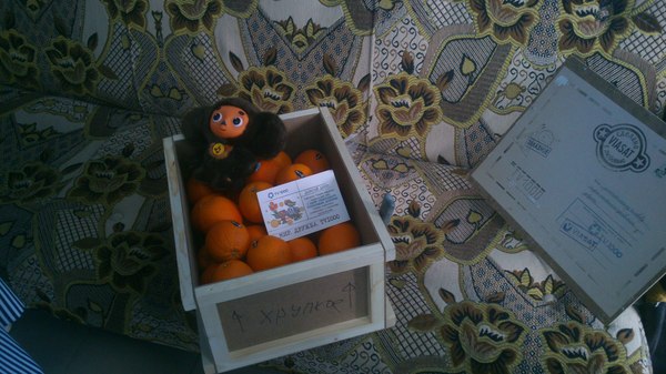 Kindness box - My, Cheburashka, Package, Kindness, Box