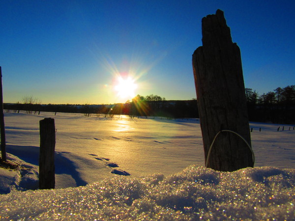 spring evening - Evening, The sun, My, Snow, The photo