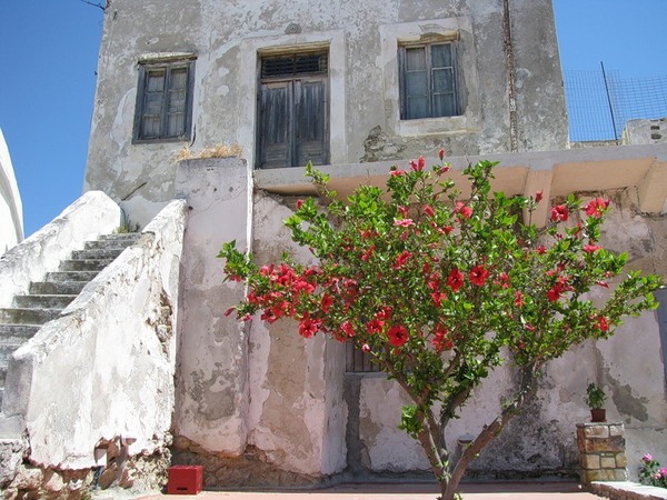 Spring in Greece, Naxos island. - The photo, Nature, Spring, Bloom, Greece