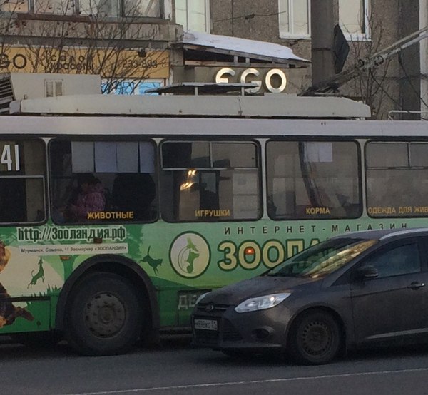 What are you today? - Trolleybus, Murmansk, Advertising, Humor